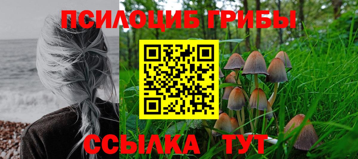 Тельмана  Псилоцибиновые грибы мицелий  Вход с VPN 