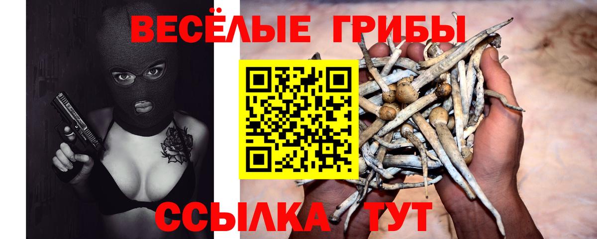 Галлюциногенные грибы MAGIC MUSHROOMS Тельмана